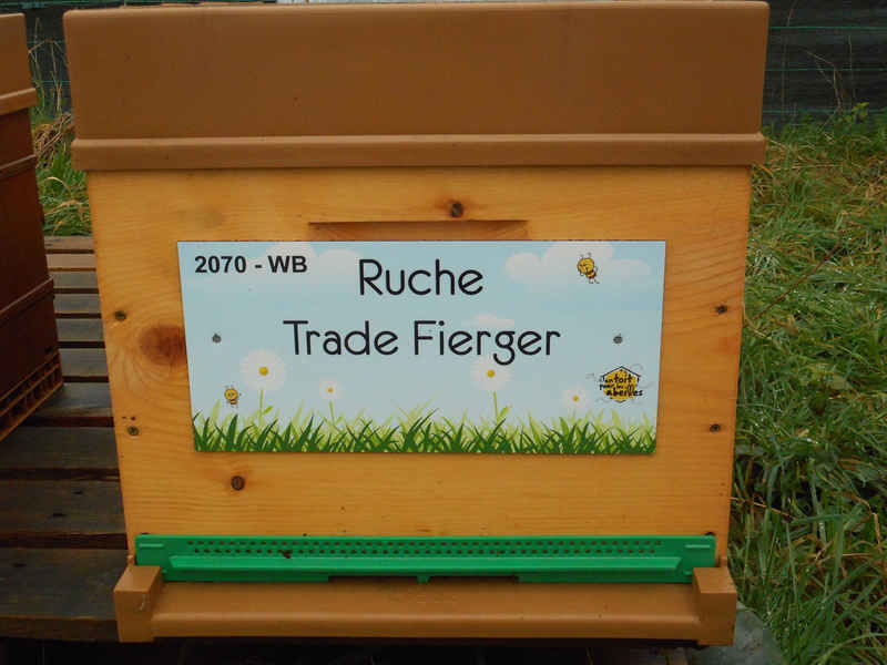 La ruche
